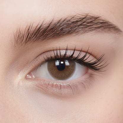 Monet Brown 6-Month Color Contacts