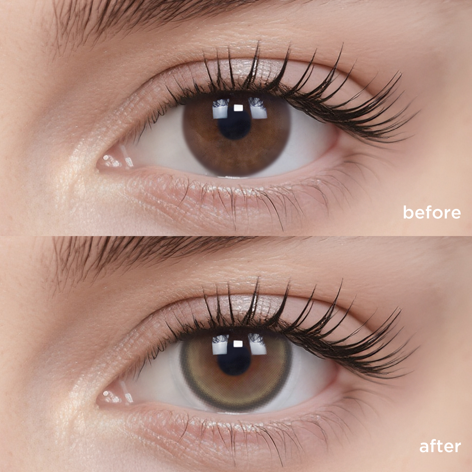 Mung Bean Smoothie green color contacts