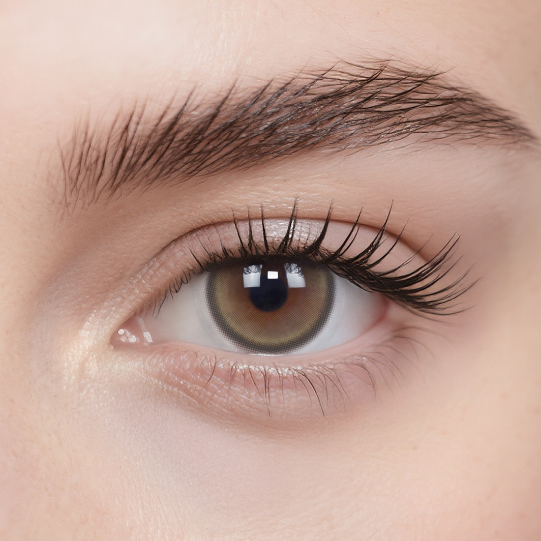 Mung Bean Smoothie 6-Month Color Contacts