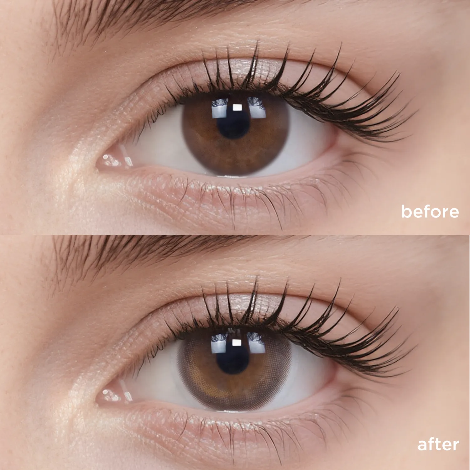 Breathe+ Oolong Brown silicone hydrogel color contacts