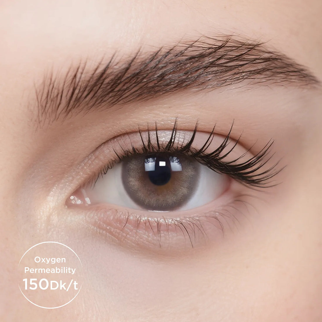 Breathe+ Oud Wood Daily Color Contacts