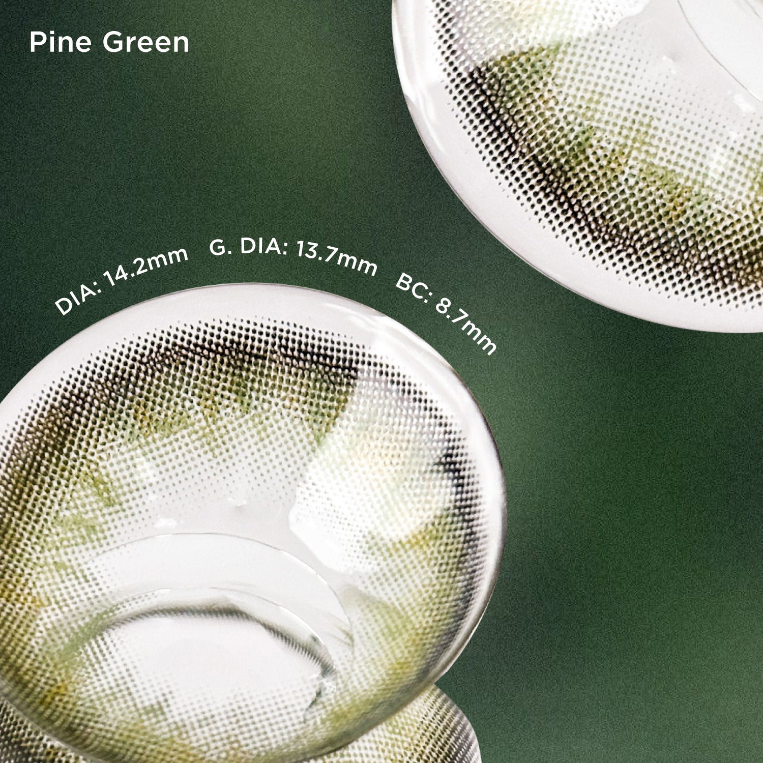 Pine Green green color contacts