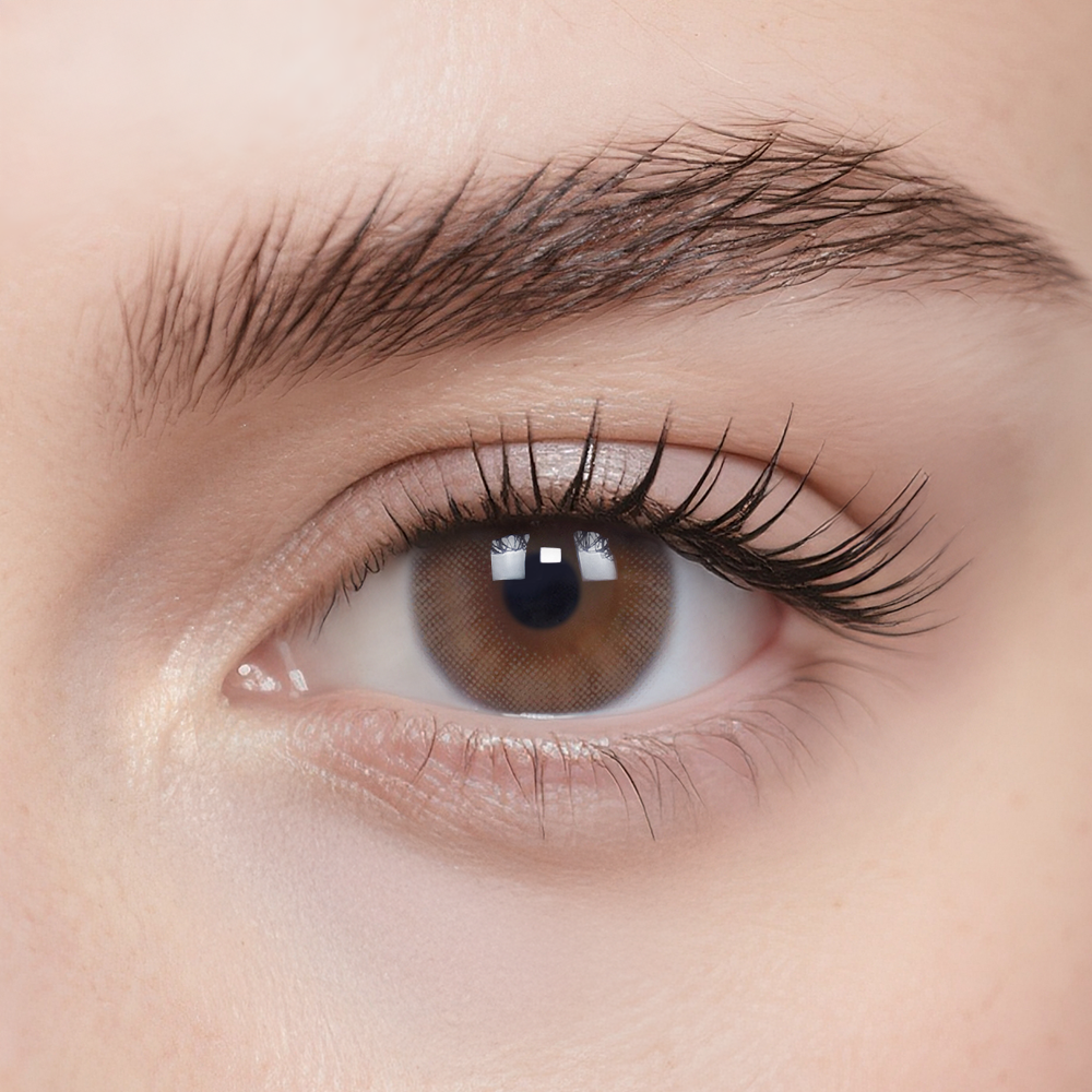 Pinewood Cabin Daily Color Contacts