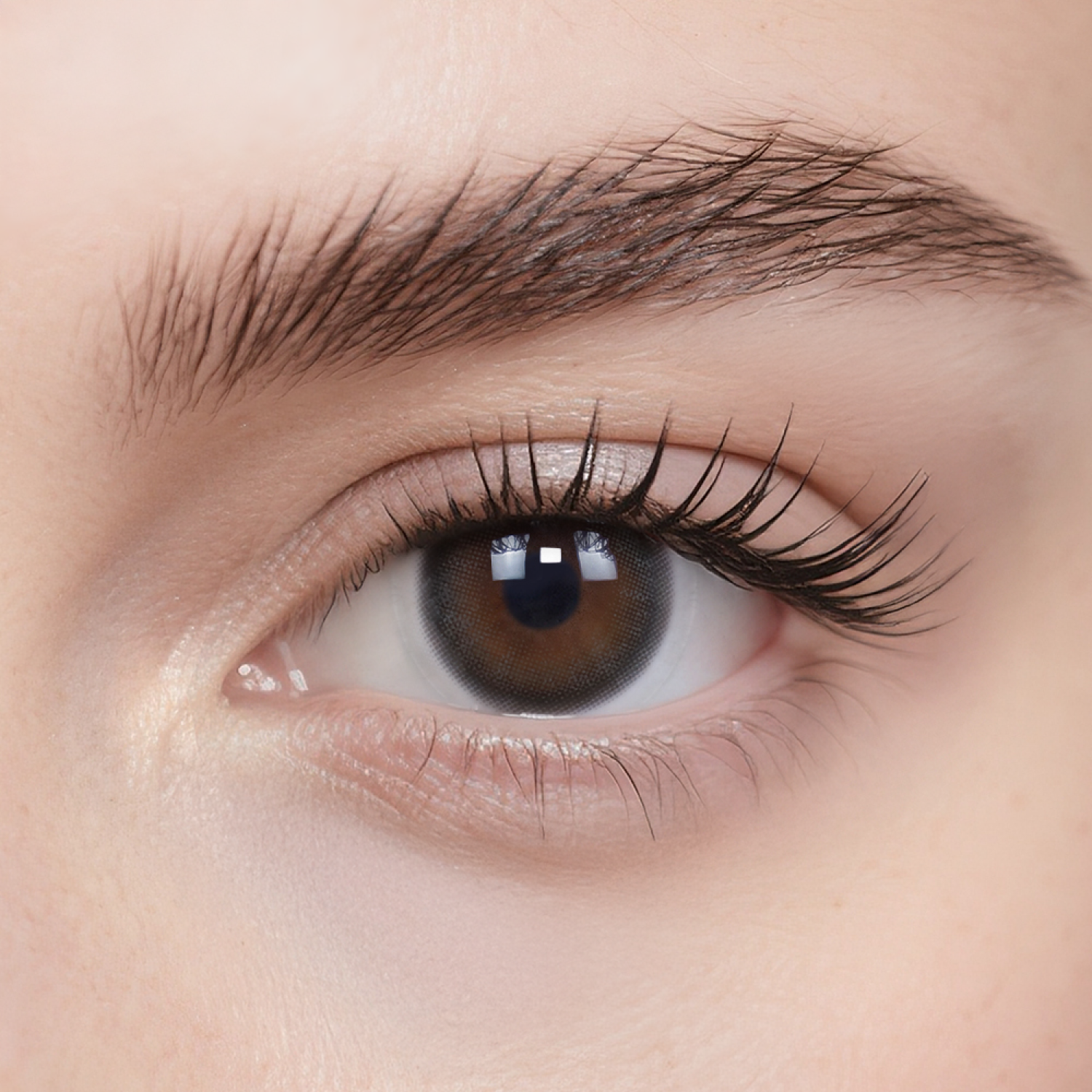 Polar Day Daily Color Contacts