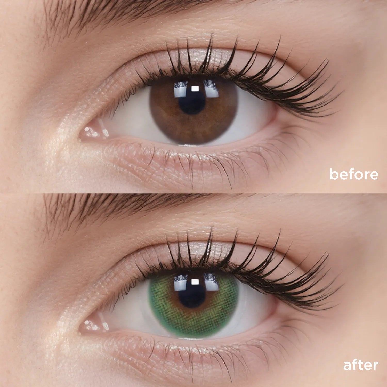 Spring Green green color contacts