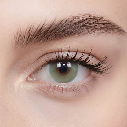Secret Eden 6-Month Color Contacts