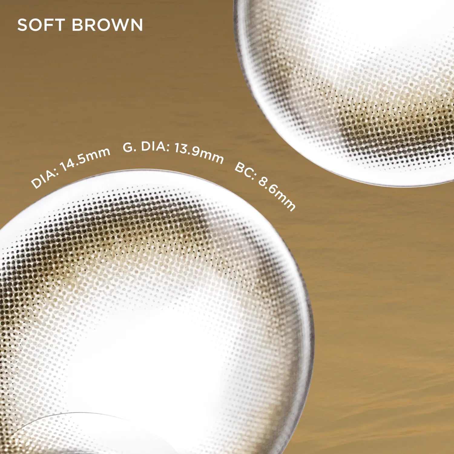 Soft Brown brown color contacts