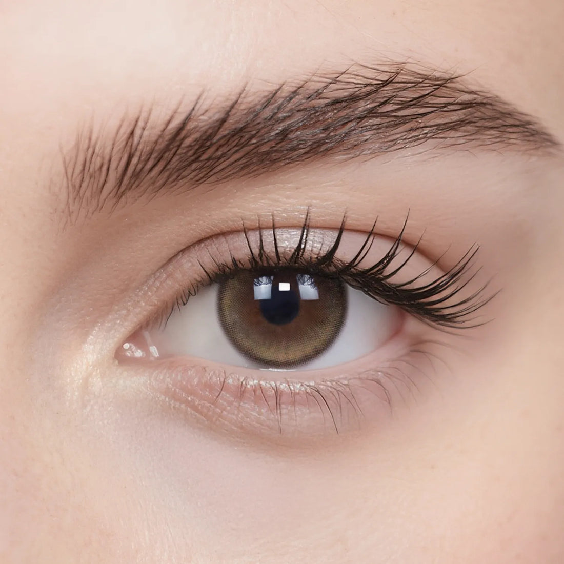 Soft Brown Daily Color Contacts