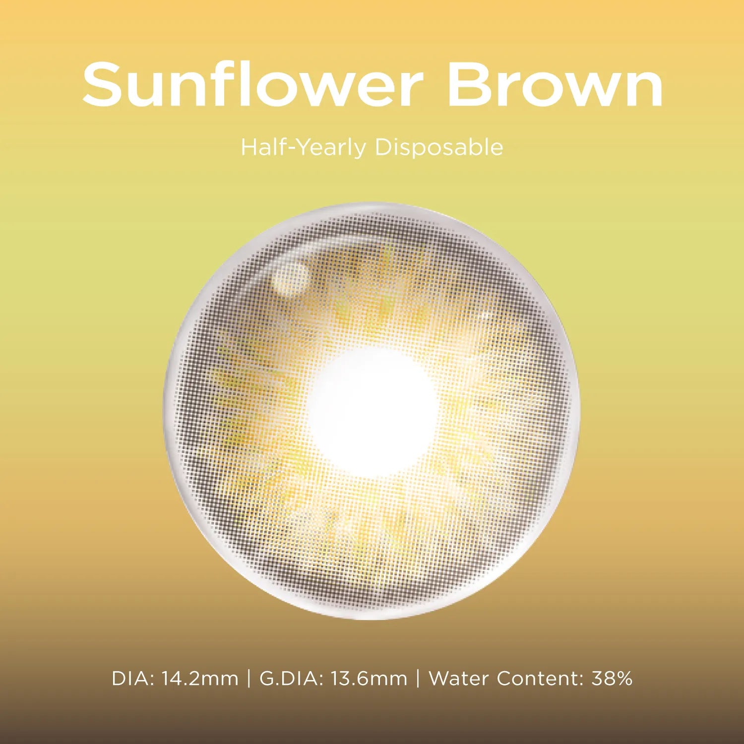 Sunflower Brown brown color contacts