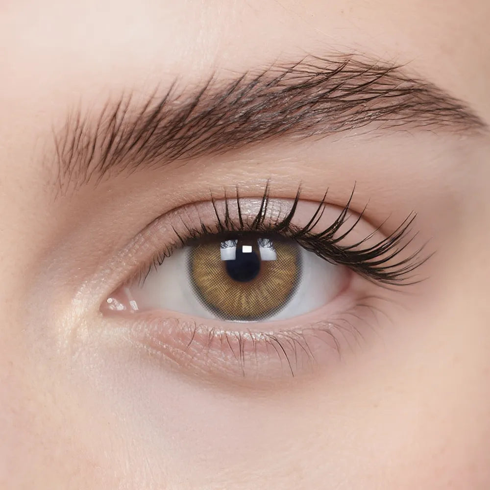 Teddy Brown 6-Month Color Contacts
