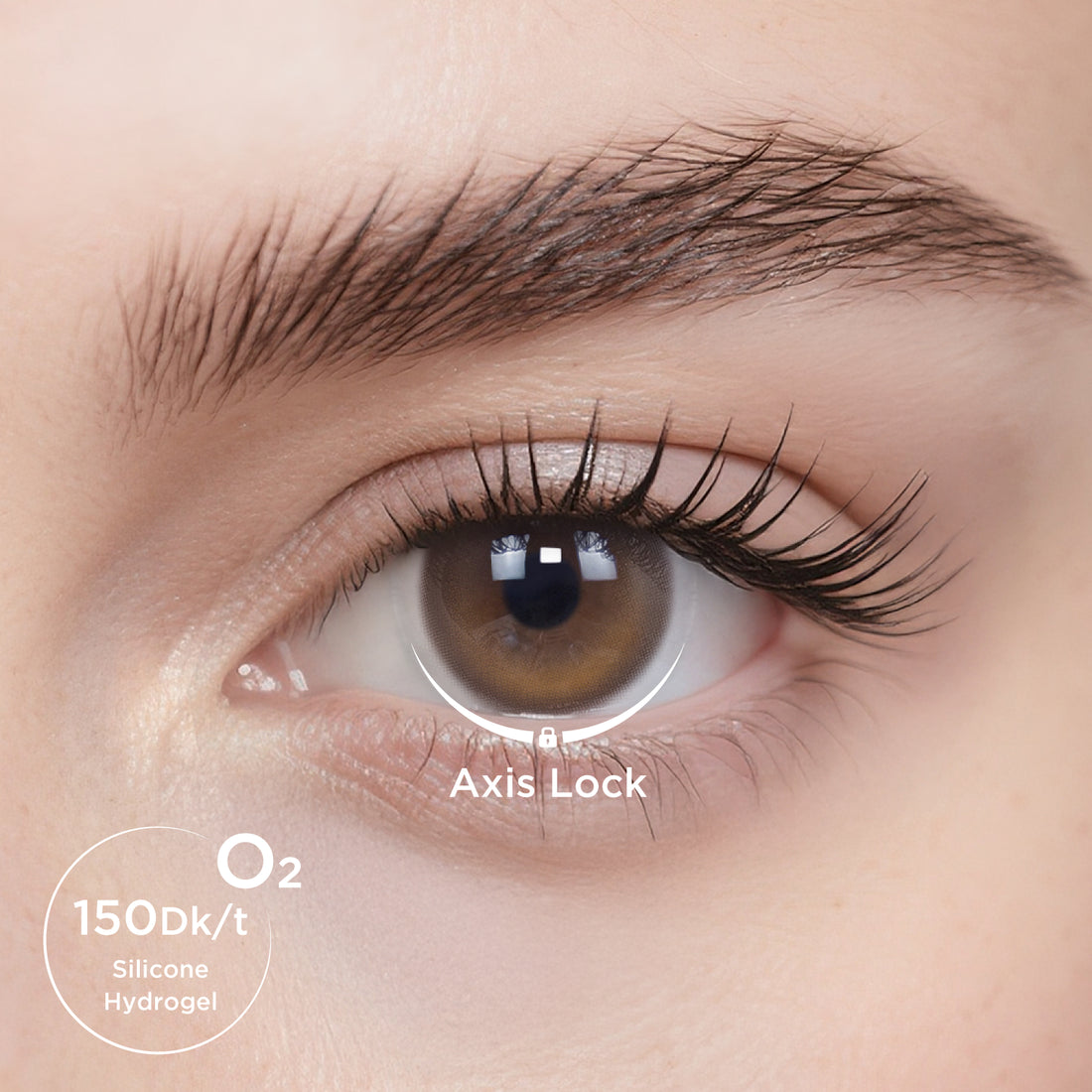 GlowyLock™ The Macassar Daily Color Contacts