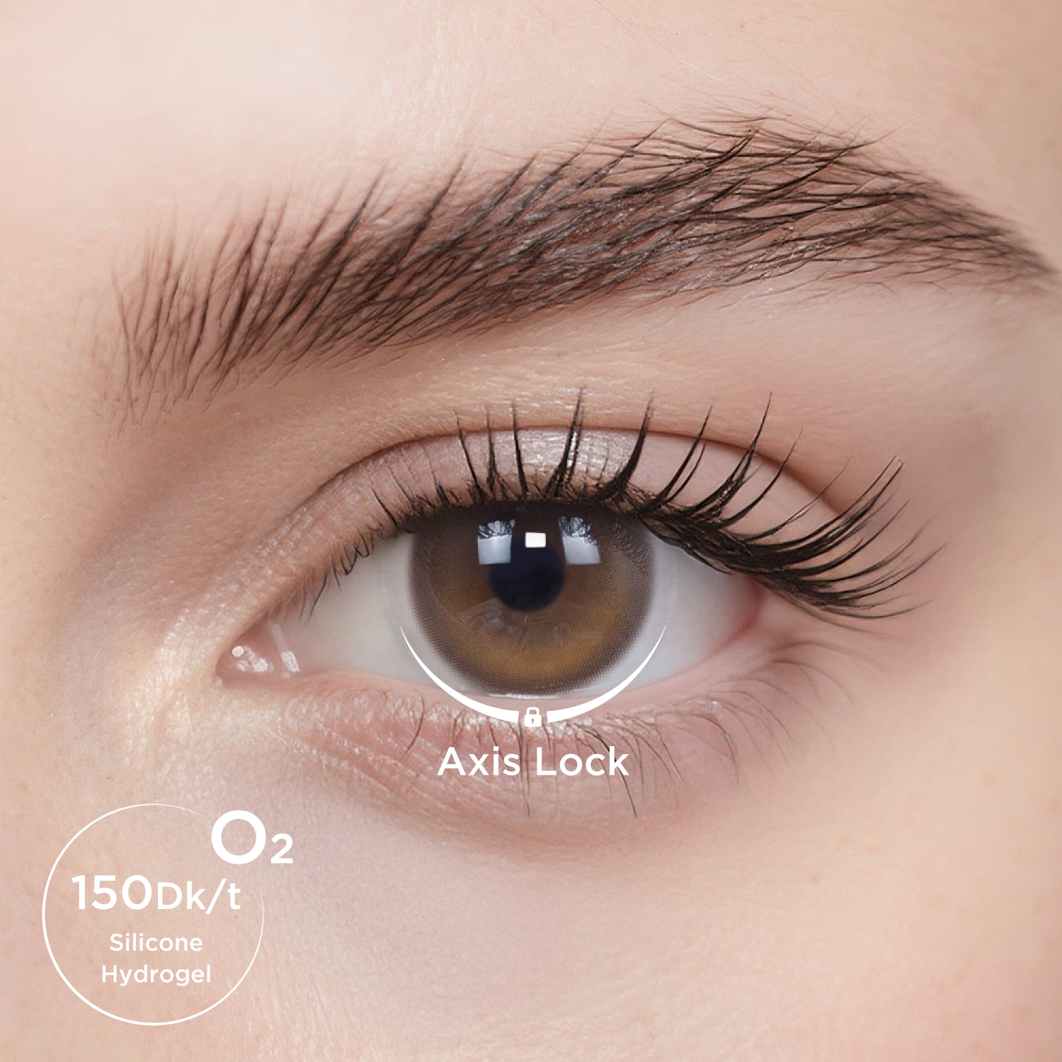 GlowyLock™ The Macassar Daily Color Contacts