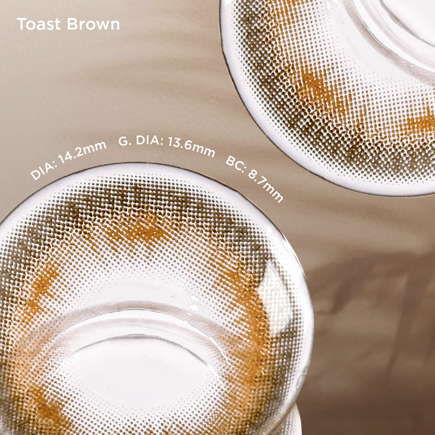 Toast Brown brown color contacts