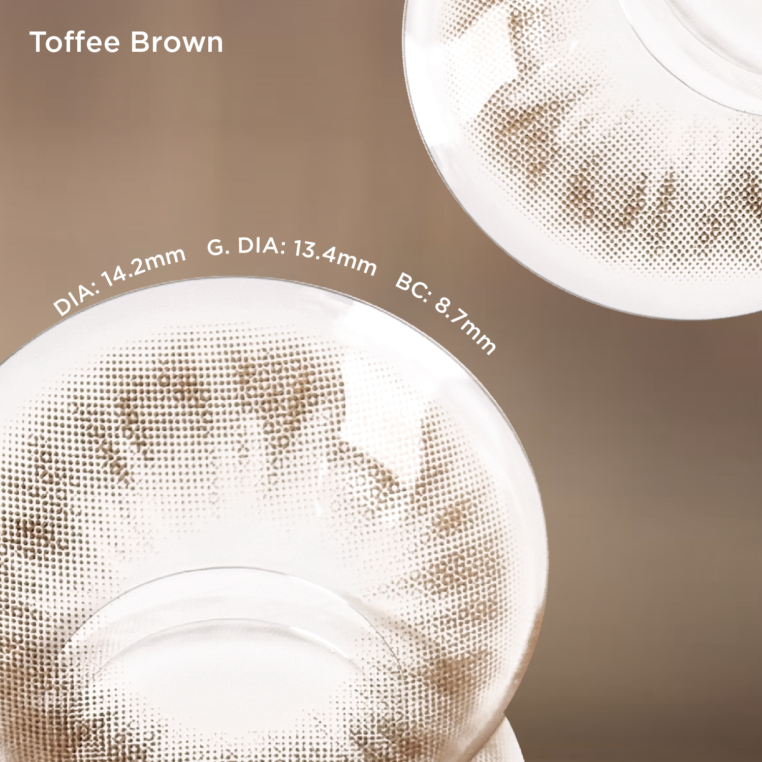 Toffee Brown brown color contacts