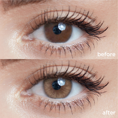 Toffee Brown brown color contacts
