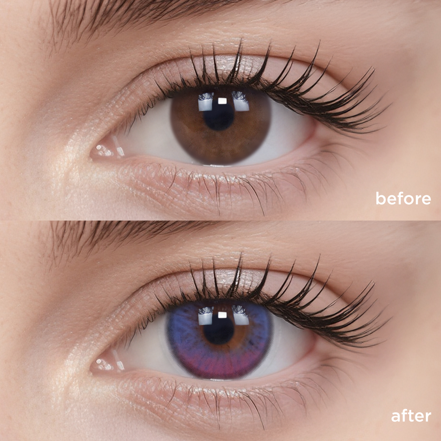 Violet Tide purple color contacts