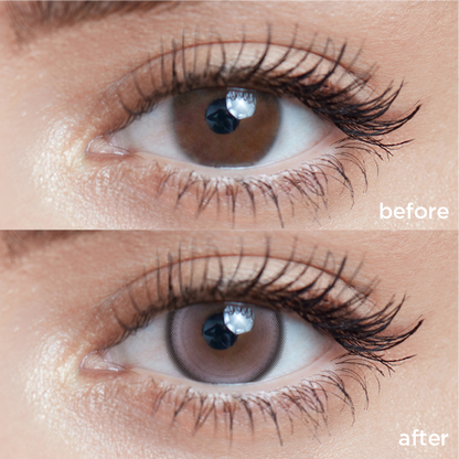Wisterias Gray grey color contacts