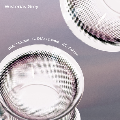 Wisterias Gray grey color contacts
