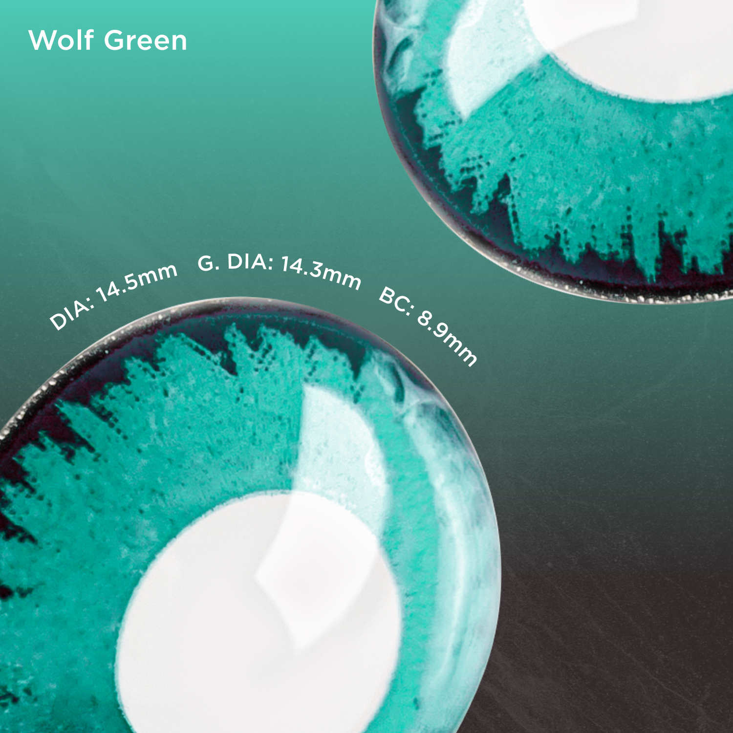 Wolf Green green color contacts