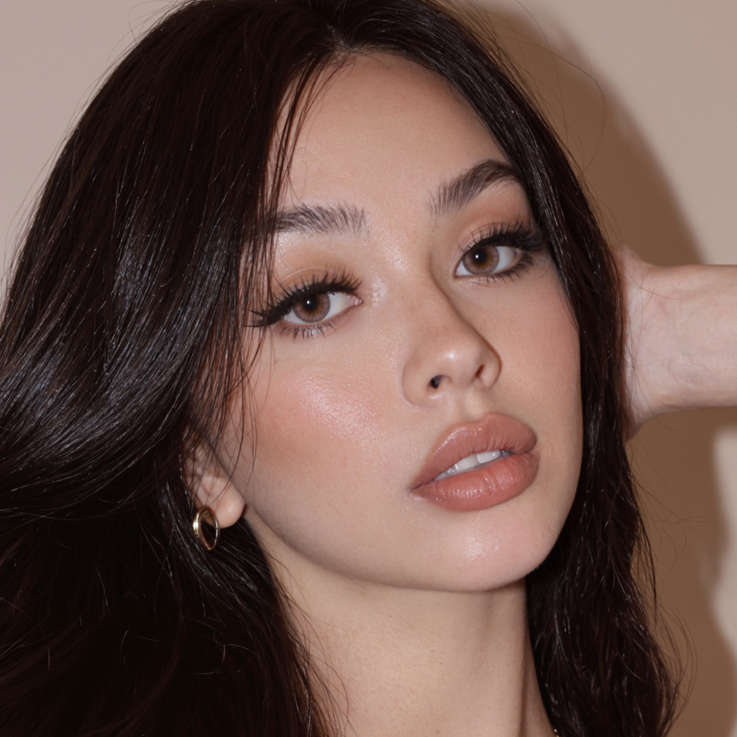 Camellia Brown brown color contacts