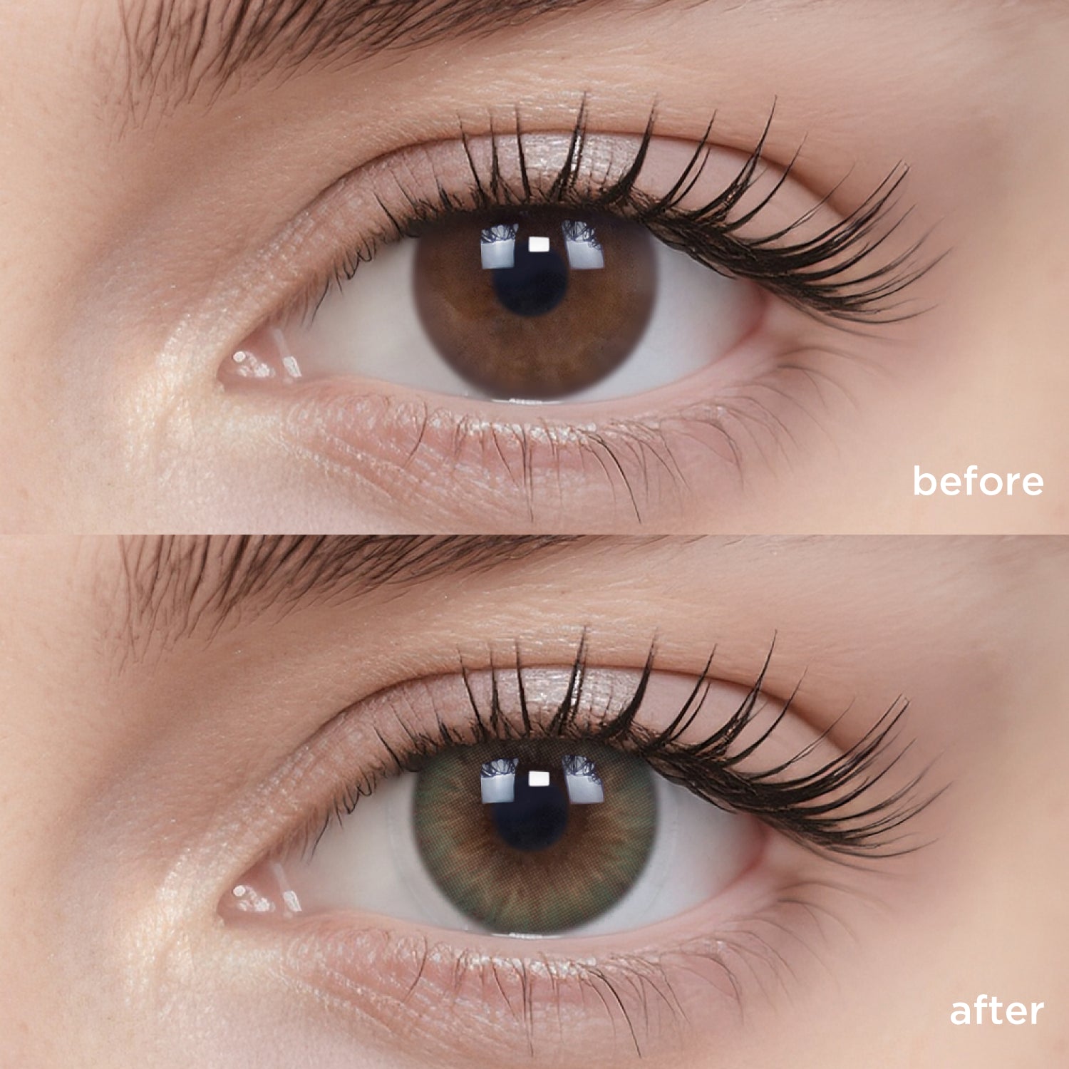 Oasis Green green color contacts