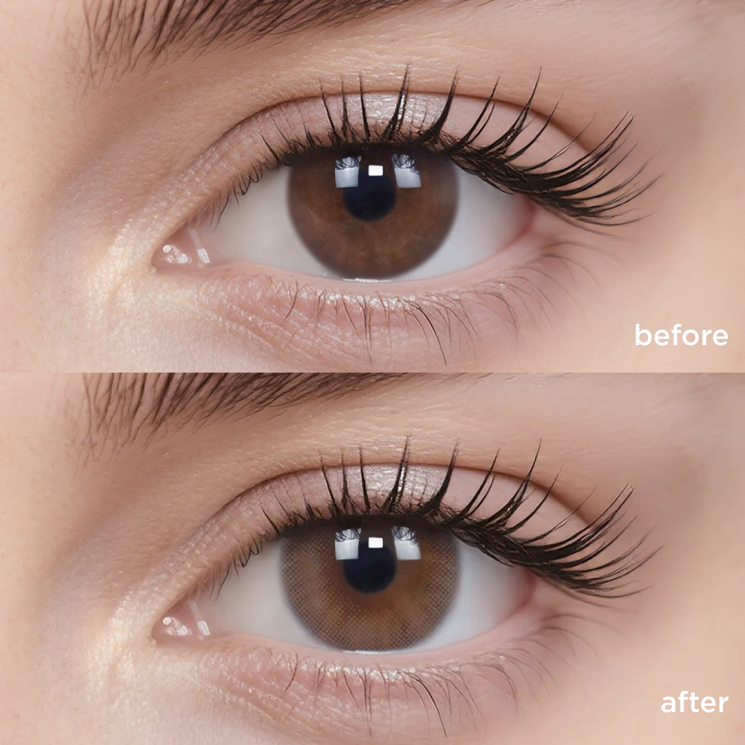 Pinewood Cabin brown color contacts