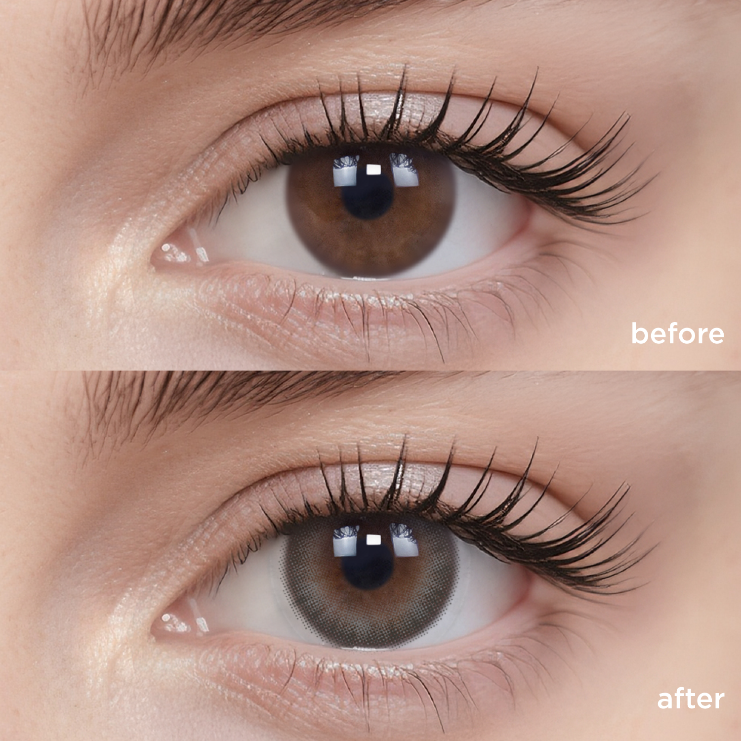 Indigo Flannel grey color contacts