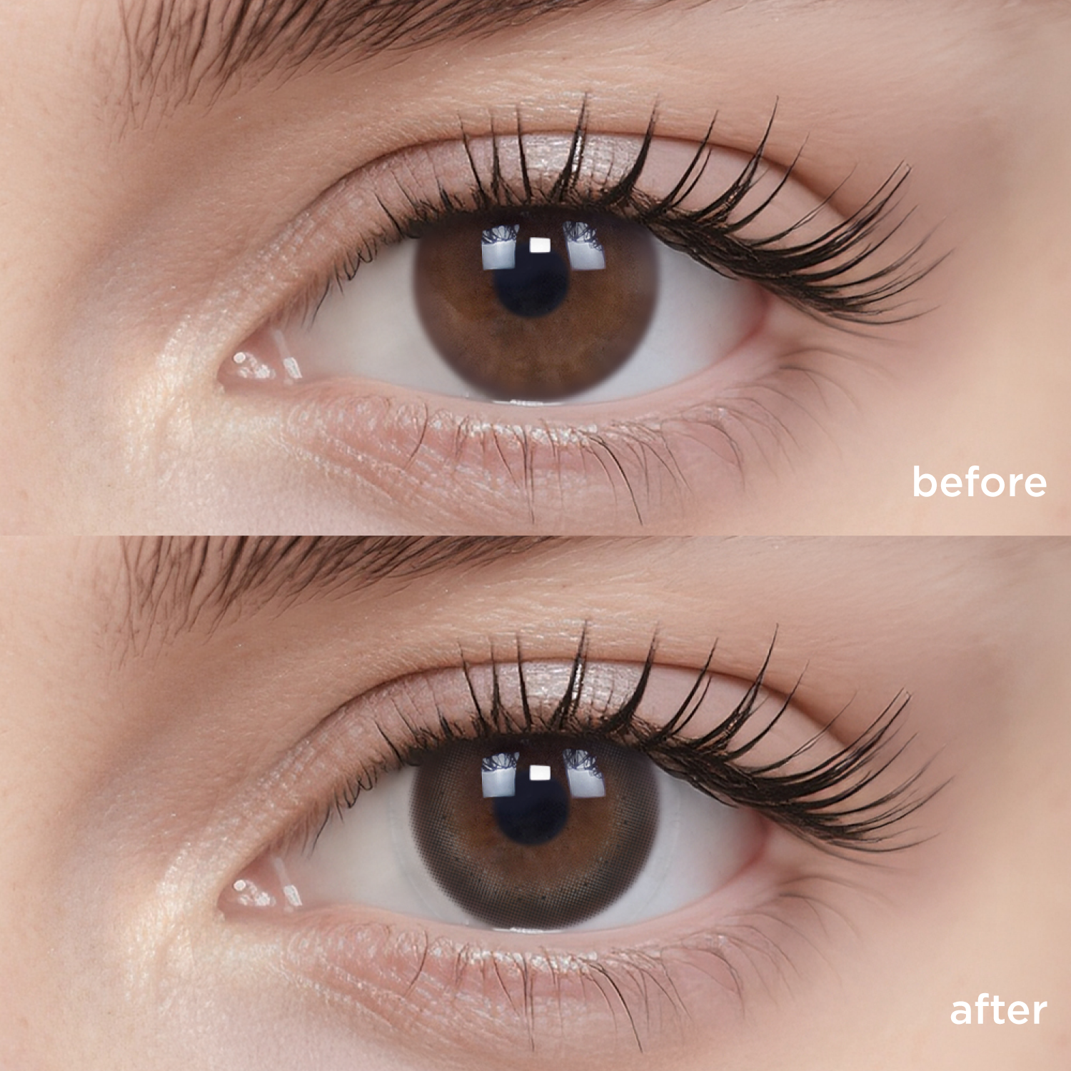 Mochi Black black color contacts