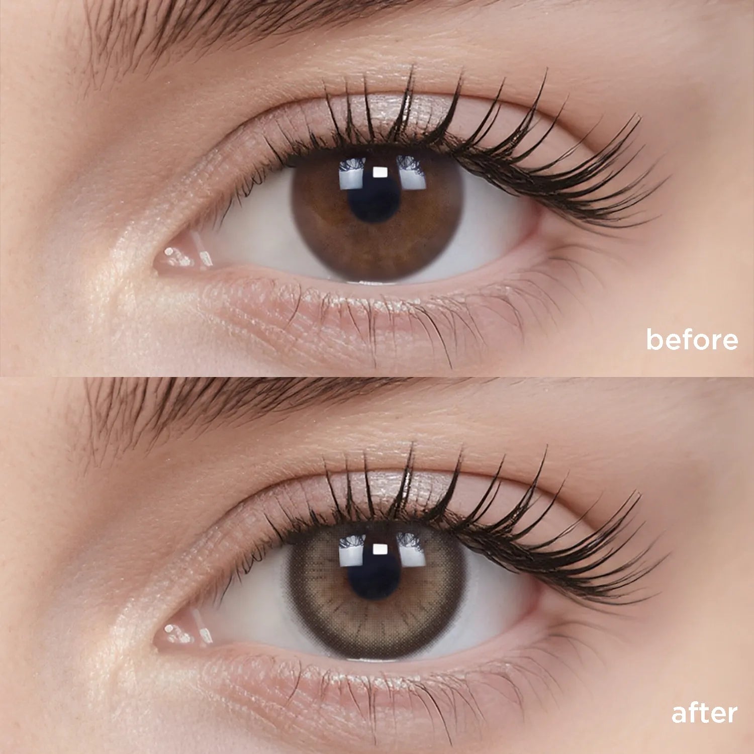 Midnight In Paris brown color contacts