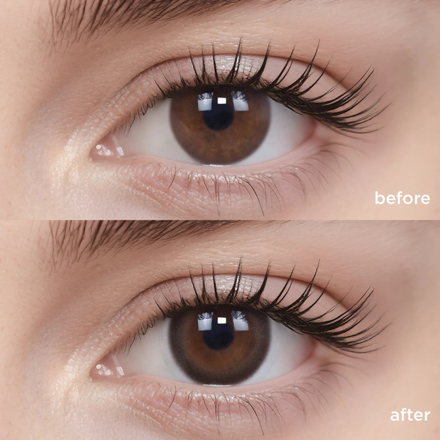 Puppy Brown brown color contacts