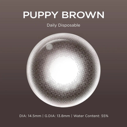 Puppy Brown brown color contacts