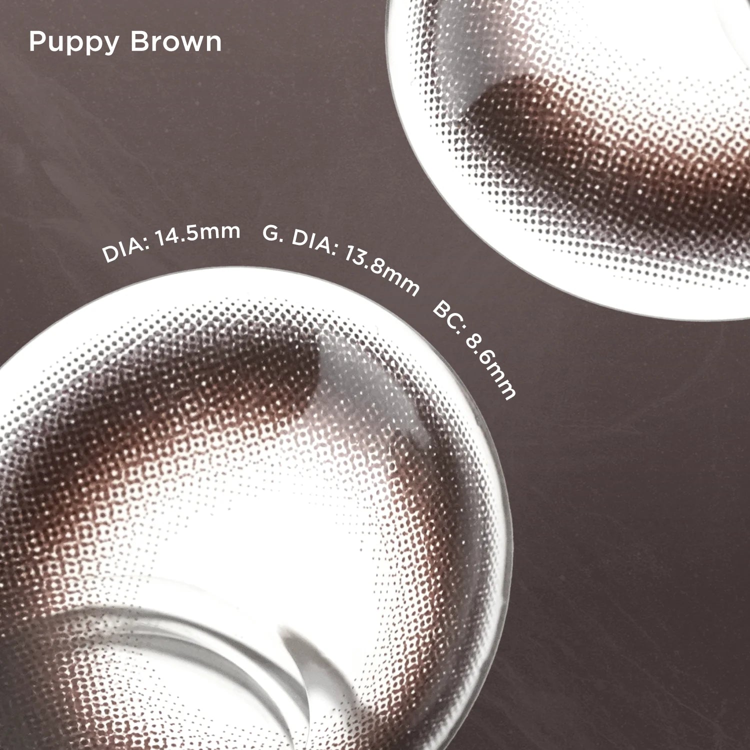 Puppy Brown brown color contacts