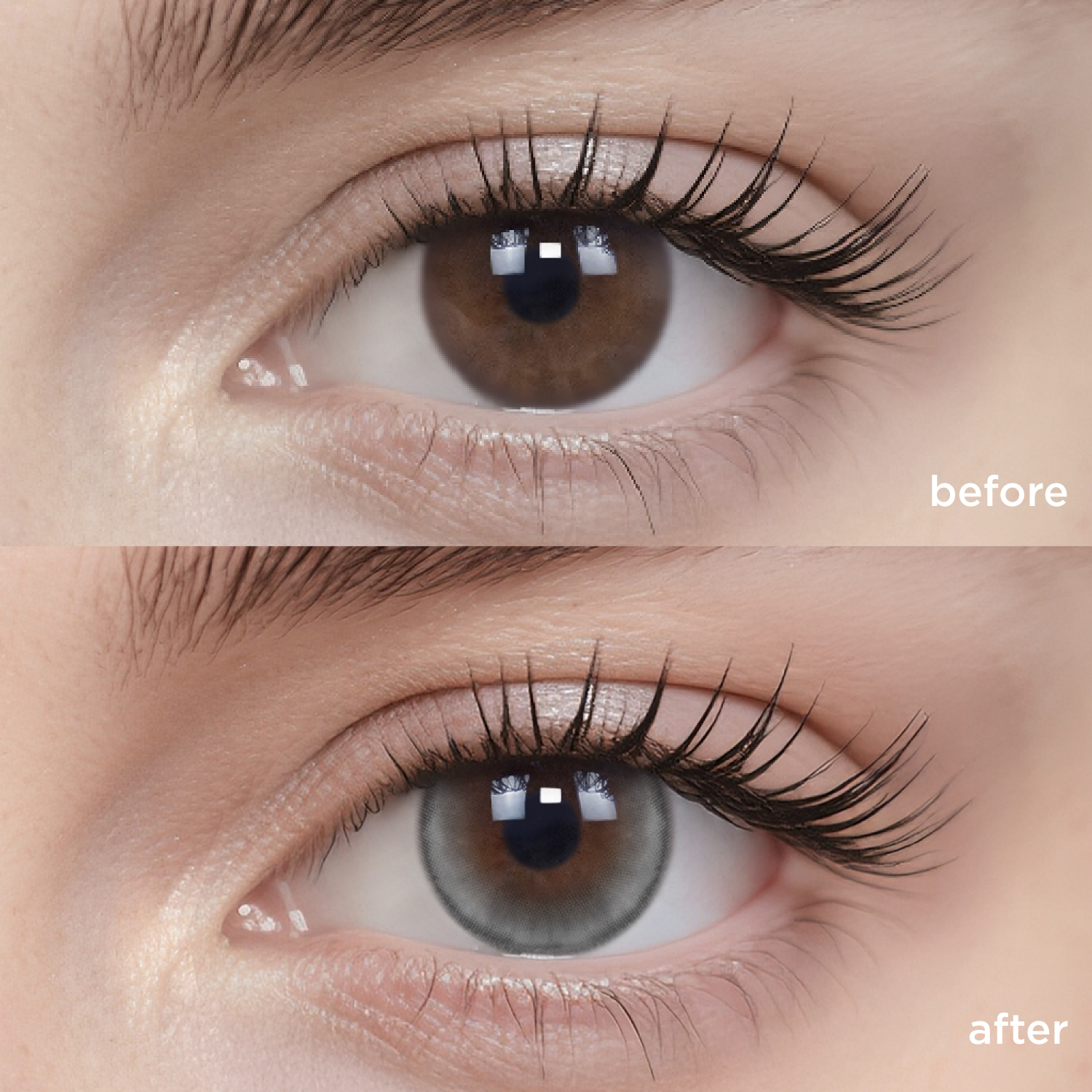 The Moon grey color contacts