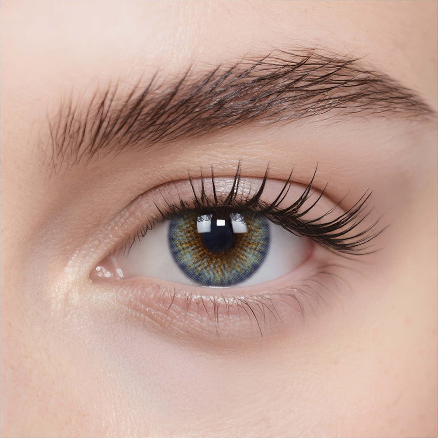 Tropical Blue Daily Color Contacts
