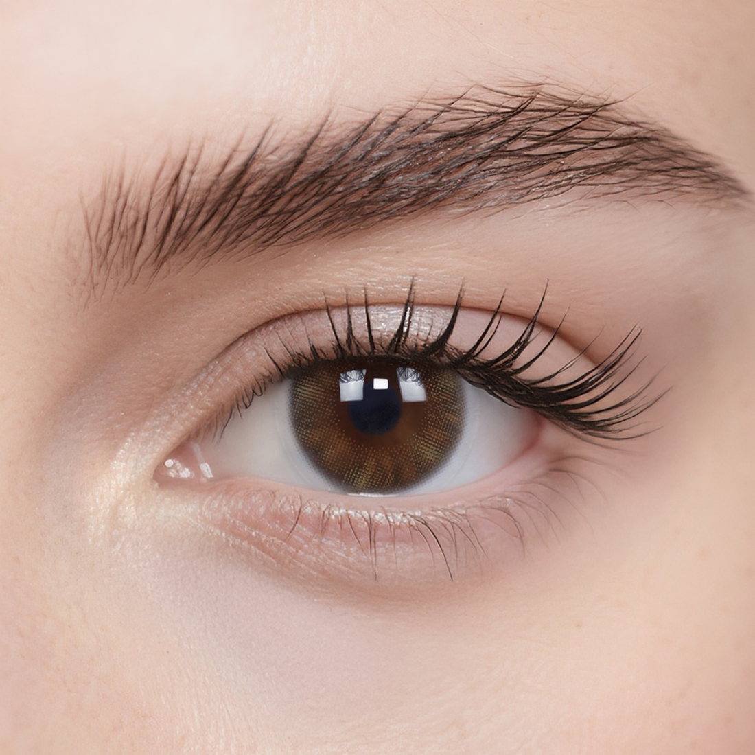 Wild Shadow Monthly Color Contacts